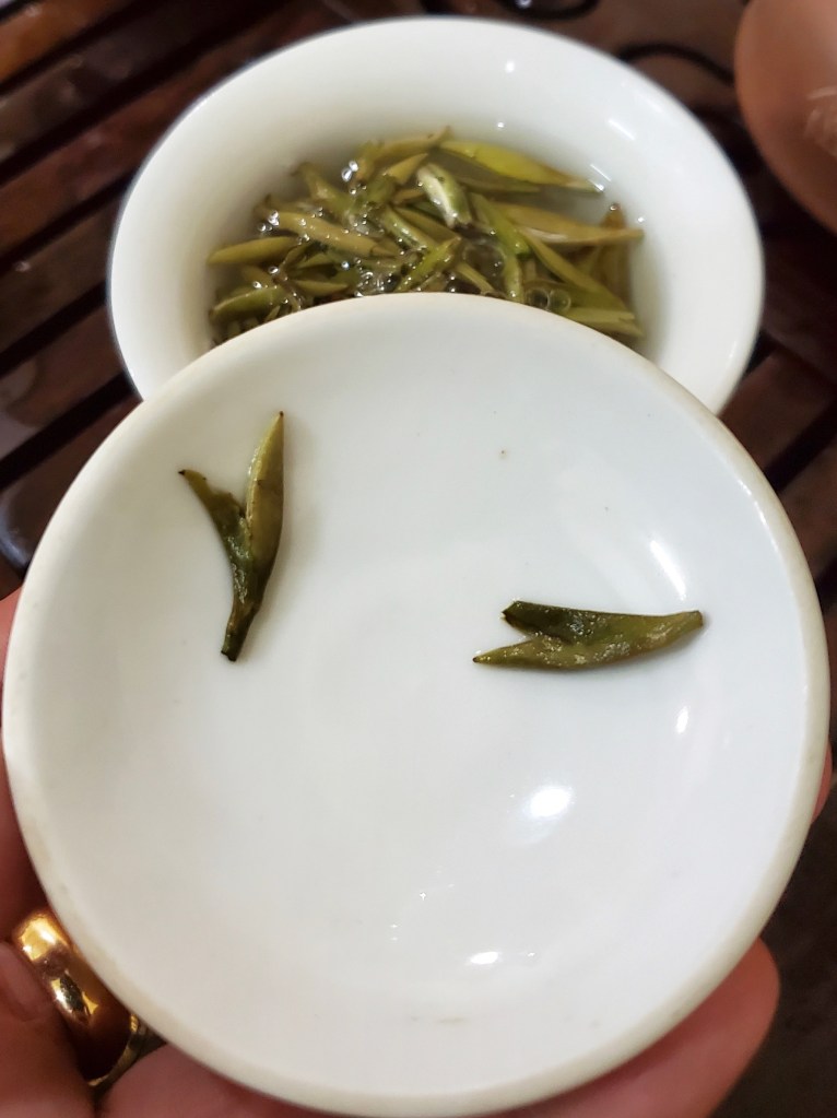 Silver Needle or 白毫银针