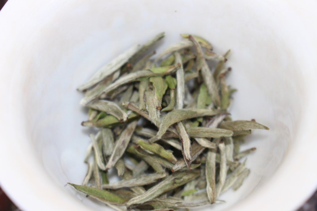 Silver Needle or 白毫银针